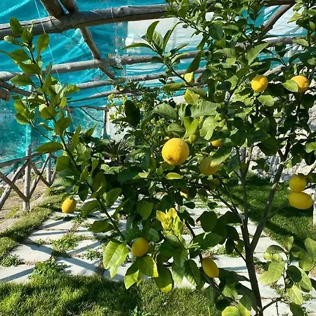 Il Fiordo 度假居 *