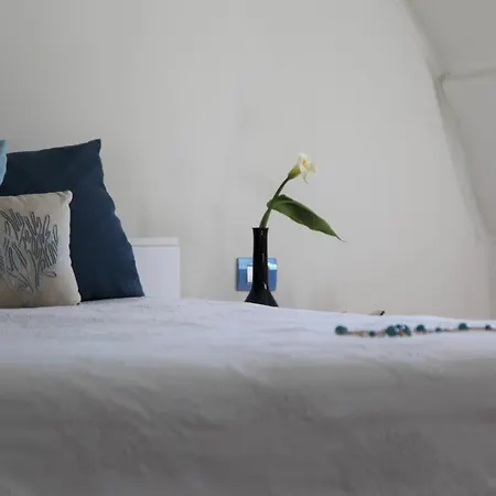 Il Fiordo * 康加德马里尼