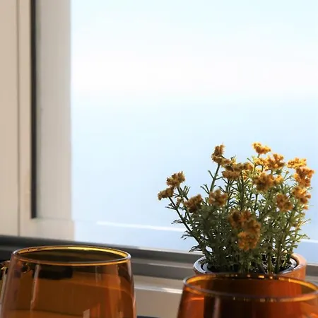 Il Fiordo 度假居 康加德马里尼