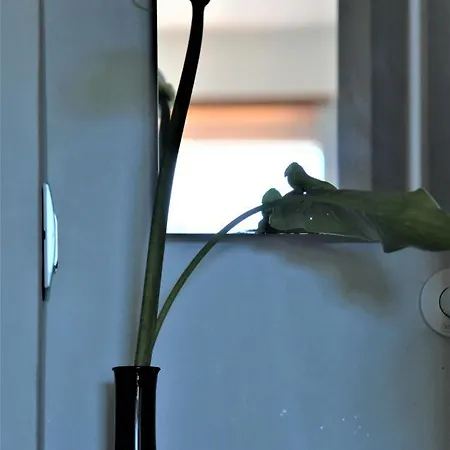 Vakantiehuis Il Fiordo