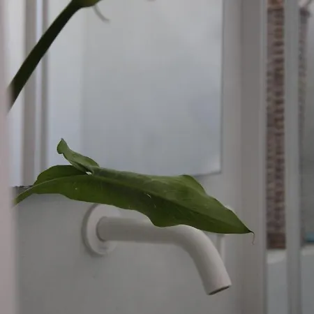 Il Fiordo Σπίτι διακοπών